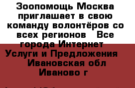 Зоопомощь.Москва приглашает в свою команду волонтёров со всех регионов - Все города Интернет » Услуги и Предложения   . Ивановская обл.,Иваново г.